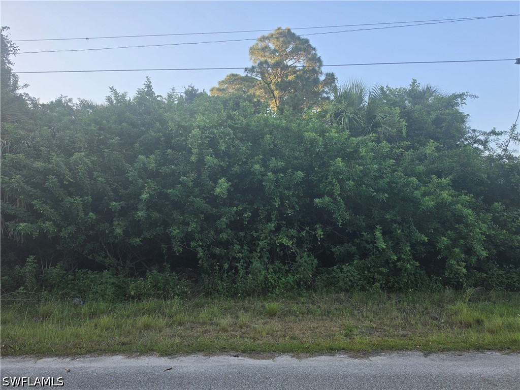3502 48th Street W Lehigh Acres FL 33971 226016946 image3