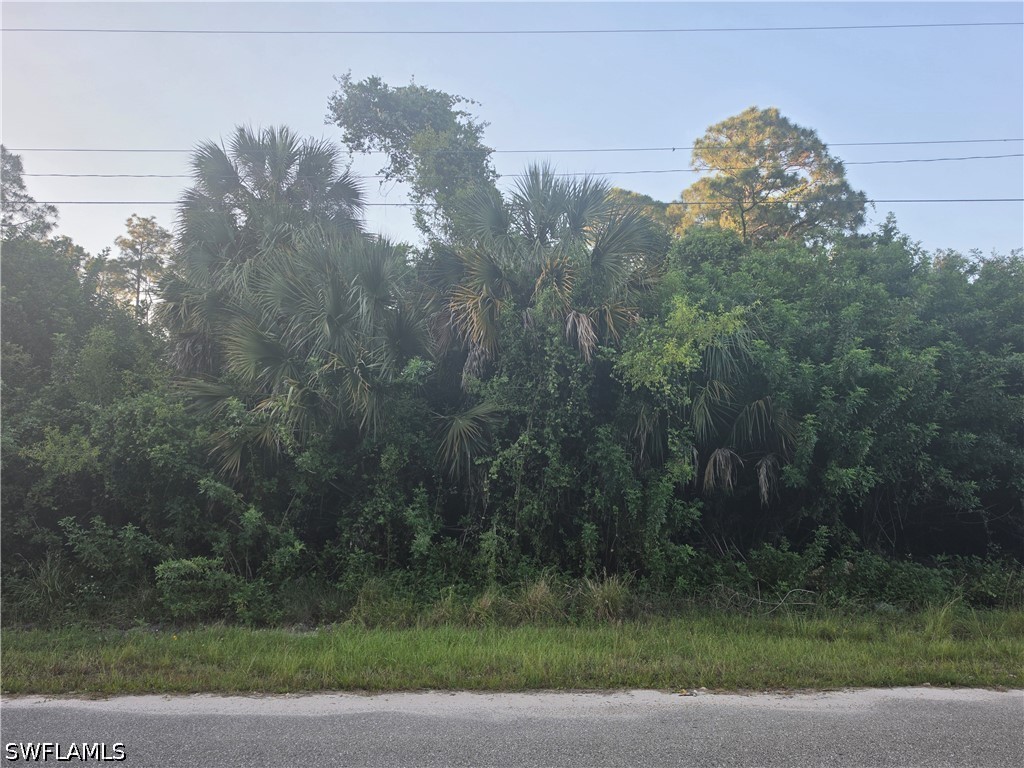 3502 48th Street W Lehigh Acres FL 33971 226016946 image4