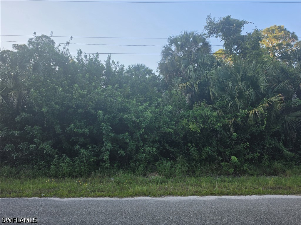 3502 48th Street W Lehigh Acres FL 33971 226016946 image5
