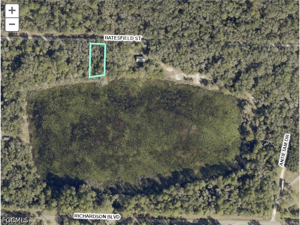 35028 Batesfield Street Webster FL 33597 2026028091 image1