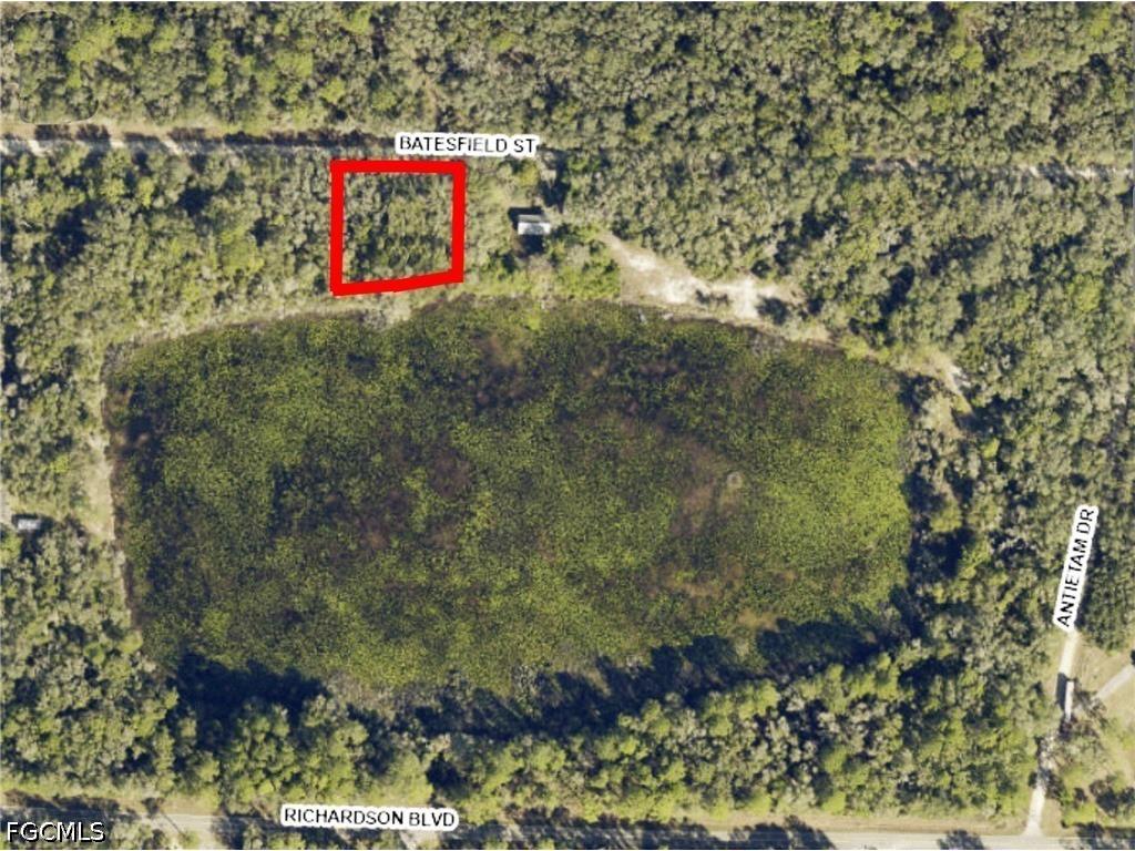 35028 Batesfield Street Webster FL 33597 2026028091 image6