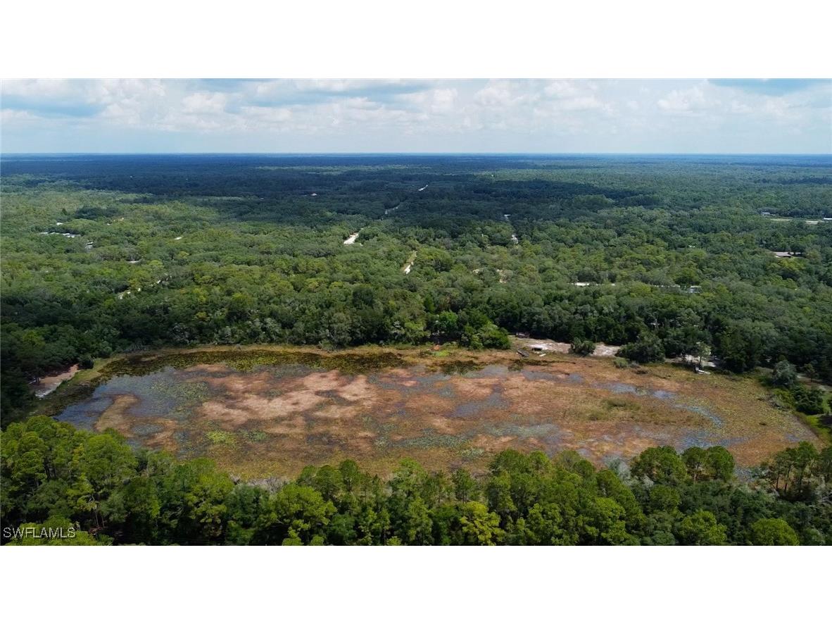 35028 Batesfield Street Webster FL 33597 225053910 image1