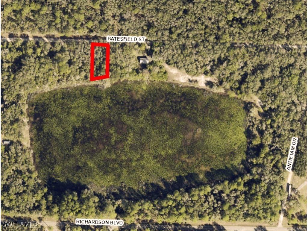 35028 Batesfield Street Webster FL 33597 225053910 image4