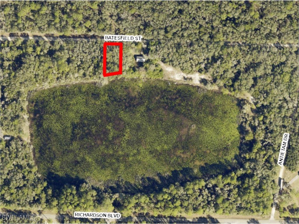 35034 Batesfield Street Webster FL 33597 225053909 image2