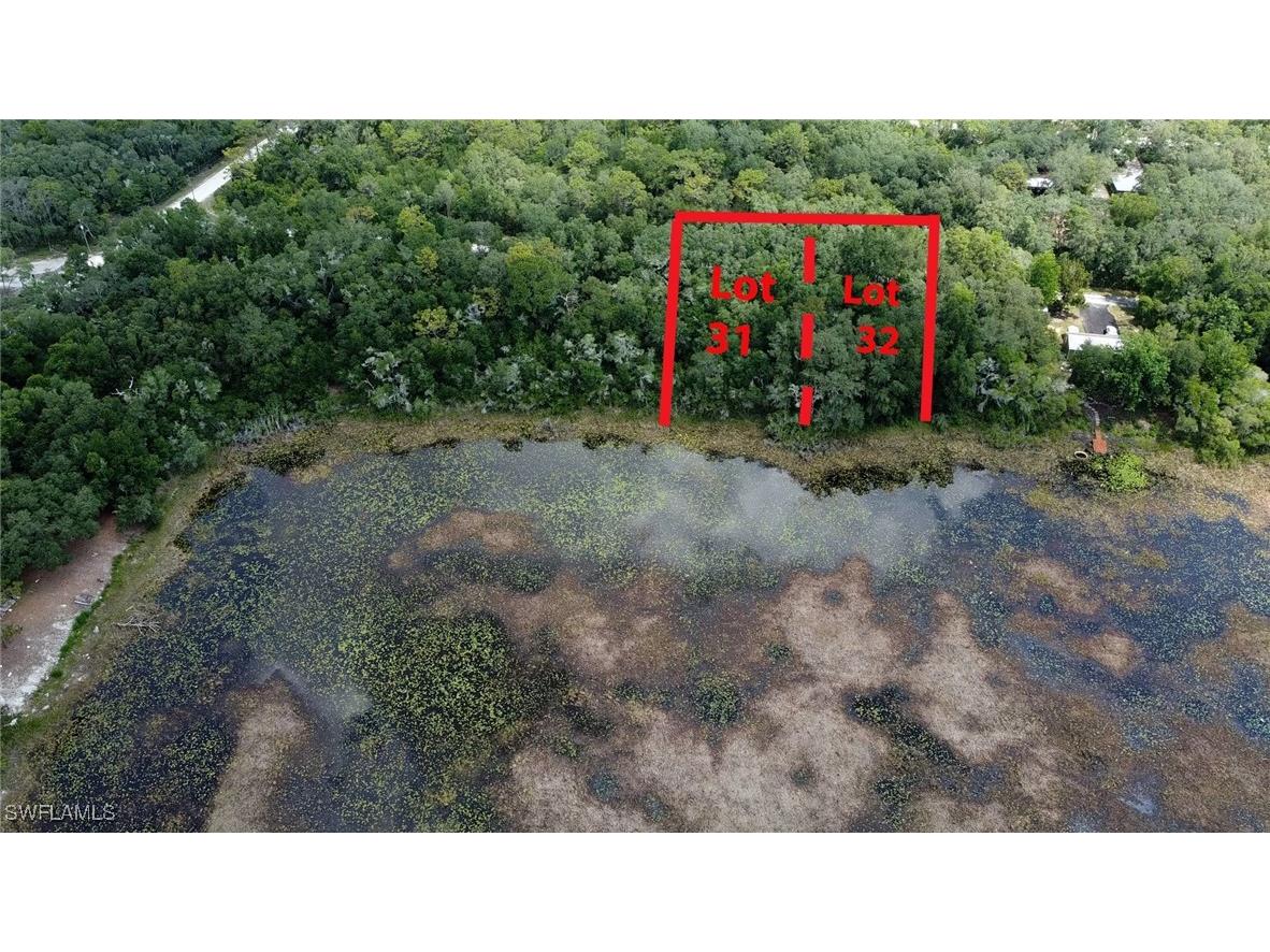 35034 Batesfield Street Webster FL 33597 225053909 image4