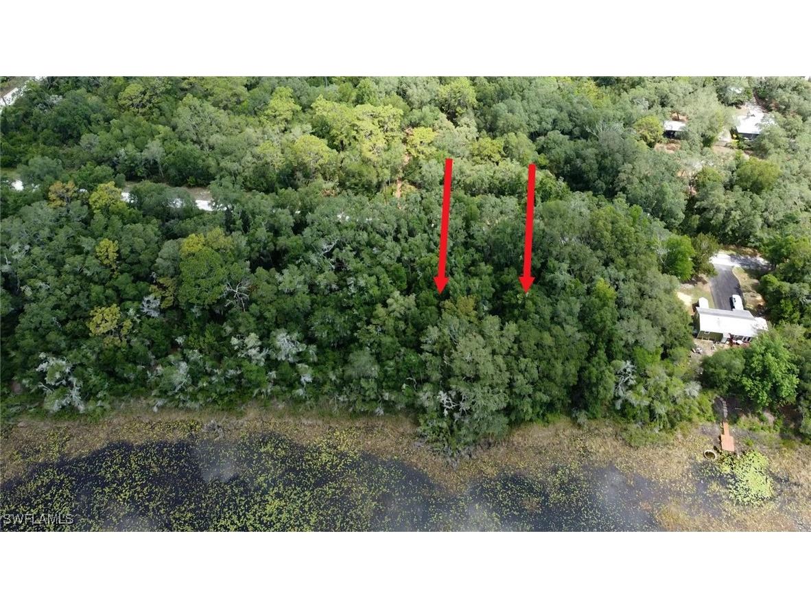 35034 Batesfield Street Webster FL 33597 225053909 image5