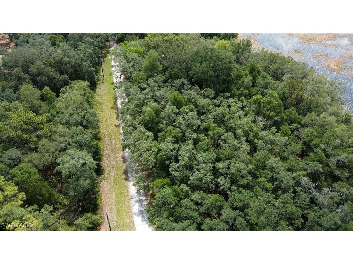 35034 Batesfield Street Webster FL 33597 225053909 image6