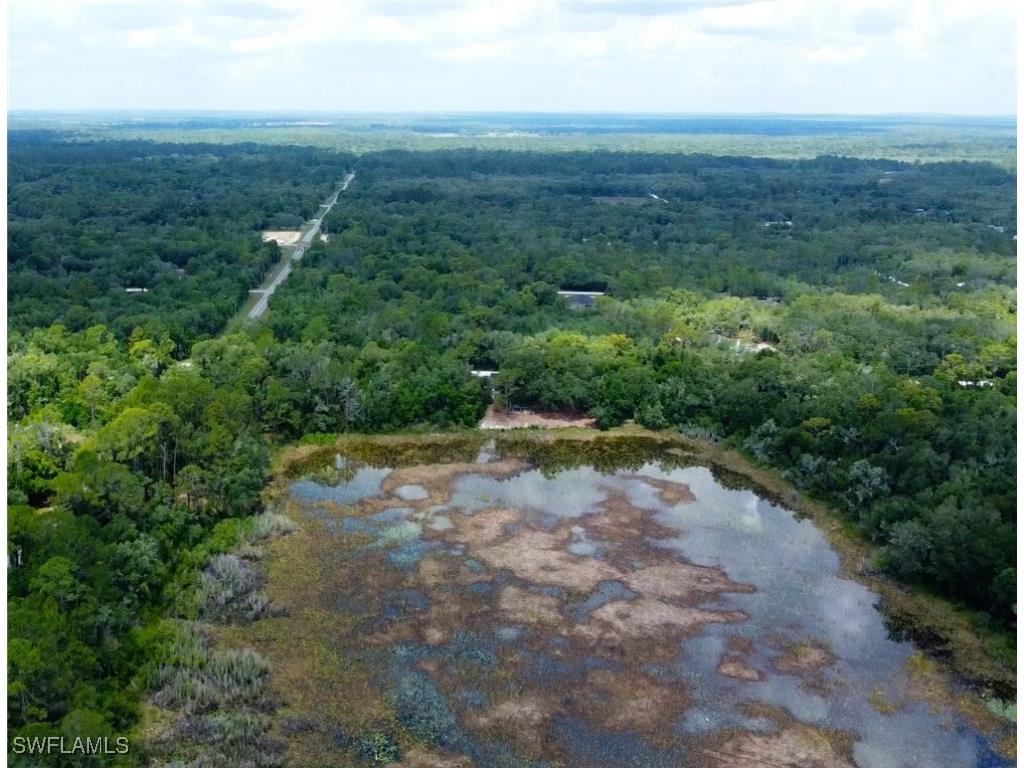 35034 Batesfield Street Webster FL 33597 225053909 image7