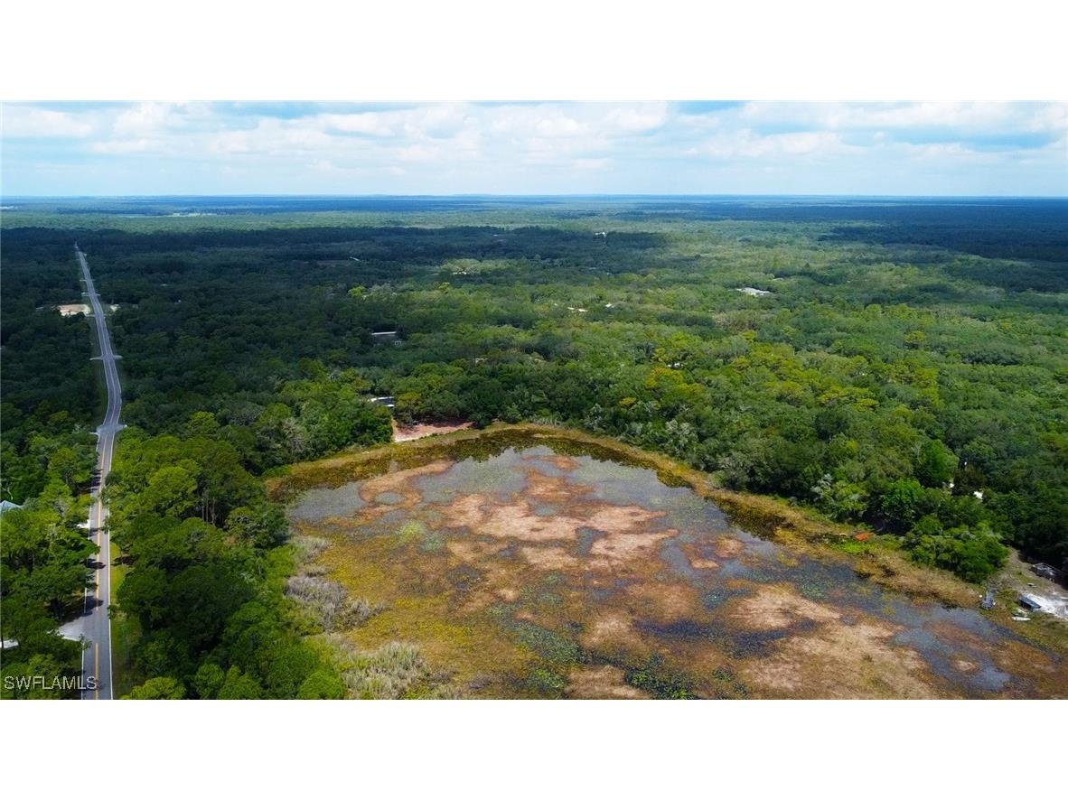 35034 Batesfield Street Webster FL 33597 225053909 image8