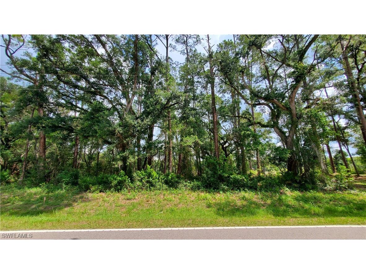 35047 Richardson Boulevard Webster FL 33597 223045616 image1