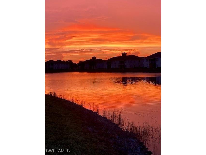 3505 Arclight Court Fort Myers FL 33916 225078783 image40