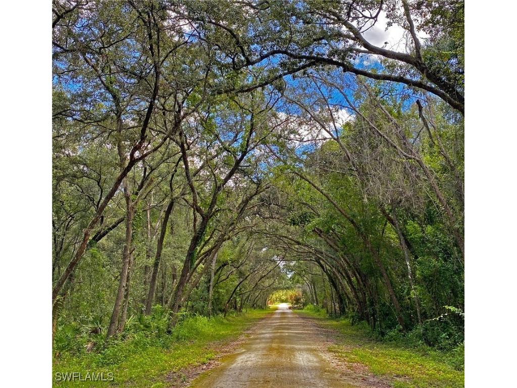 35084 Batesfield Street Webster FL 33597 225053908 image1