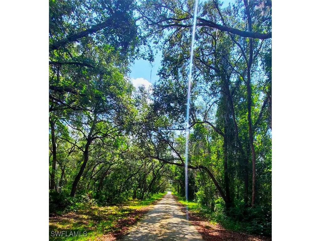 35084 Batesfield Street Webster FL 33597 225053908 image2