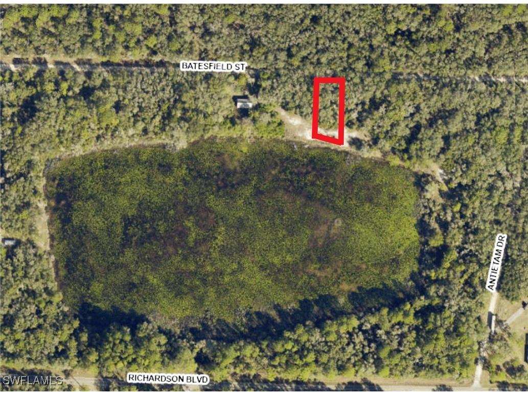 35084 Batesfield Street Webster FL 33597 225053908 image4