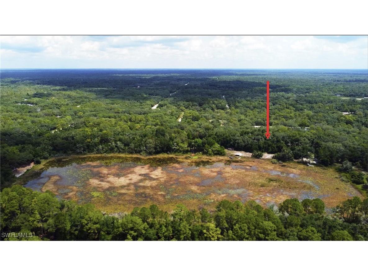 35084 Batesfield Street Webster FL 33597 225053908 image5