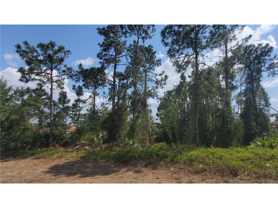 3509 39th Street SW Lehigh Acres FL 33976 223026387 image1