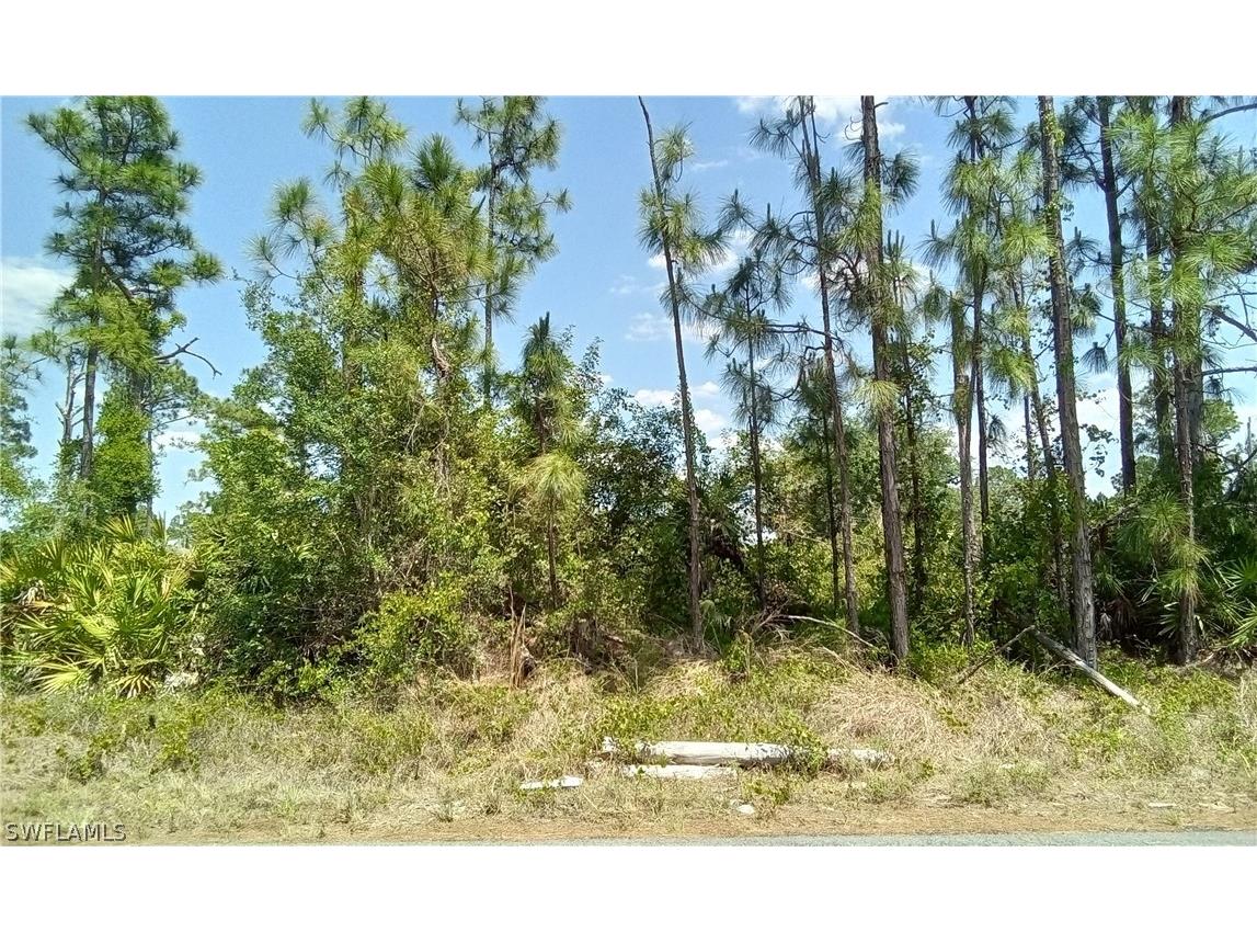 351 Brook Avenue Lehigh Acres FL 33974 224061394 image1