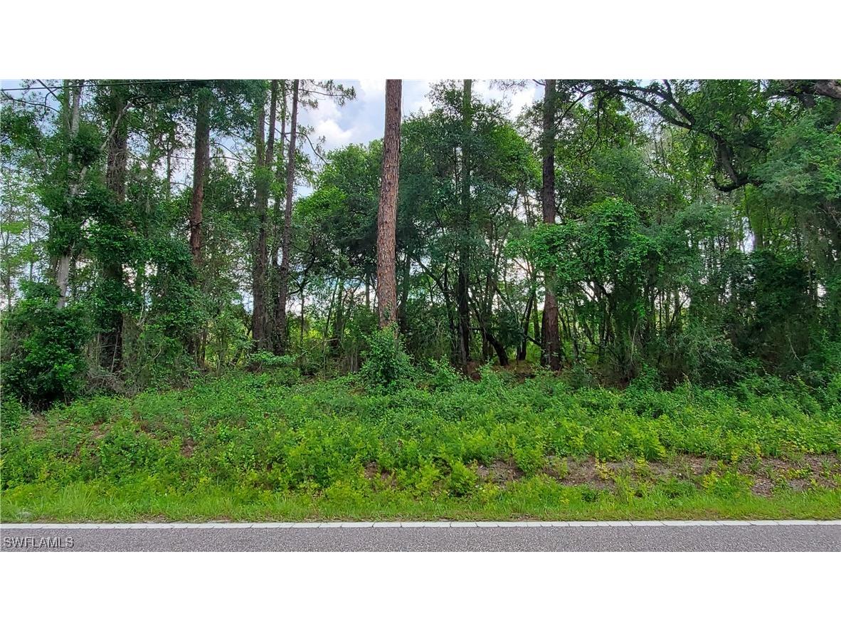 35107 Richardson Boulevard Webster FL 33597 223041871 image1