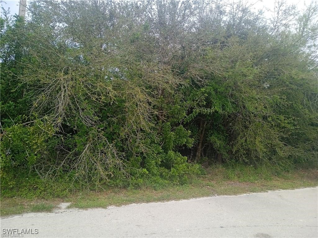 3512 26th Street SW Lehigh Acres FL 33976 225042795 image1