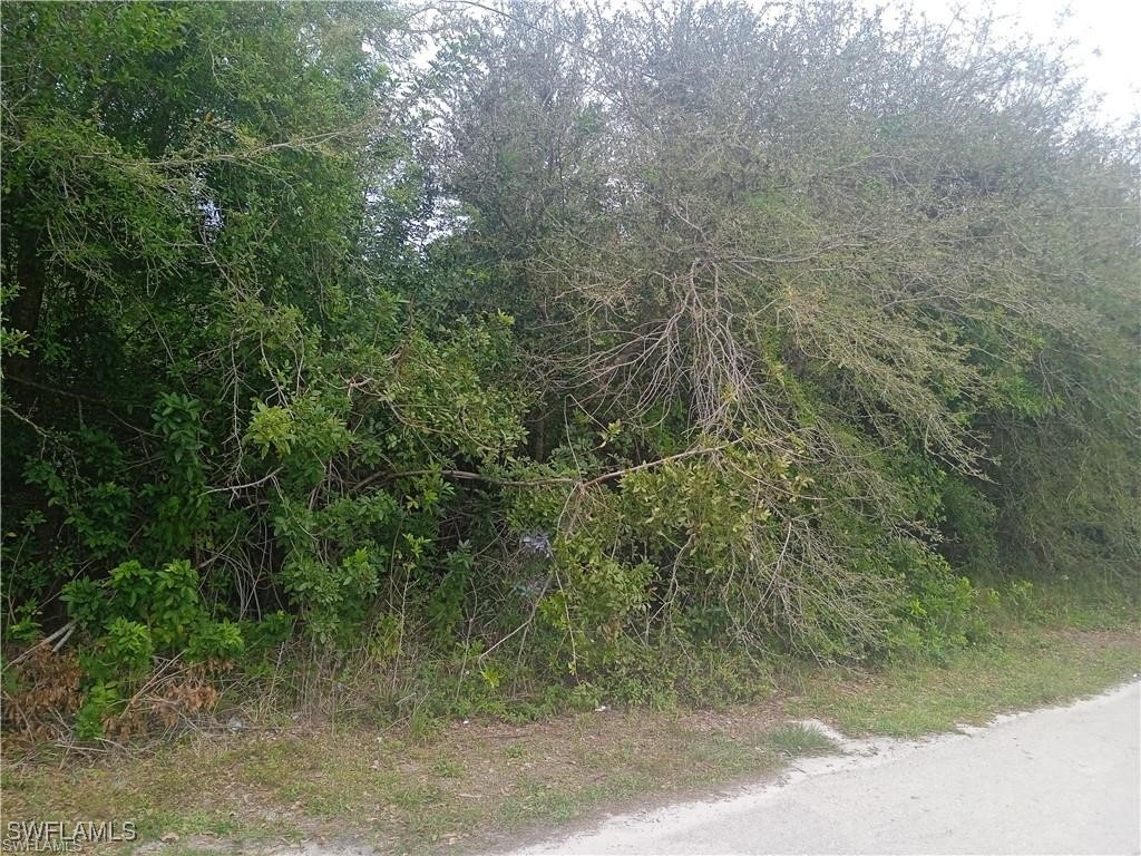 3512 26th Street SW Lehigh Acres FL 33976 225042795 image2