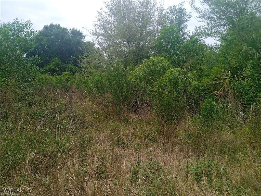 3512 26th Street SW Lehigh Acres FL 33976 225042795 image3