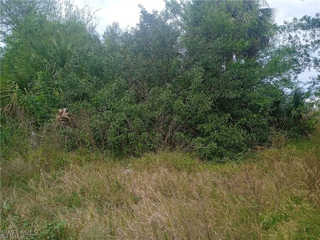 3512 26th Street SW Lehigh Acres FL 33976 225042795 image4