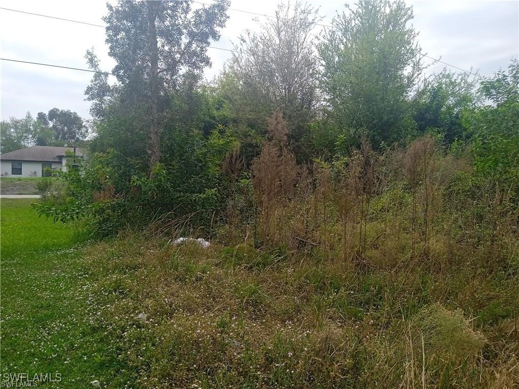 3512 26th Street SW Lehigh Acres FL 33976 225042795 image6