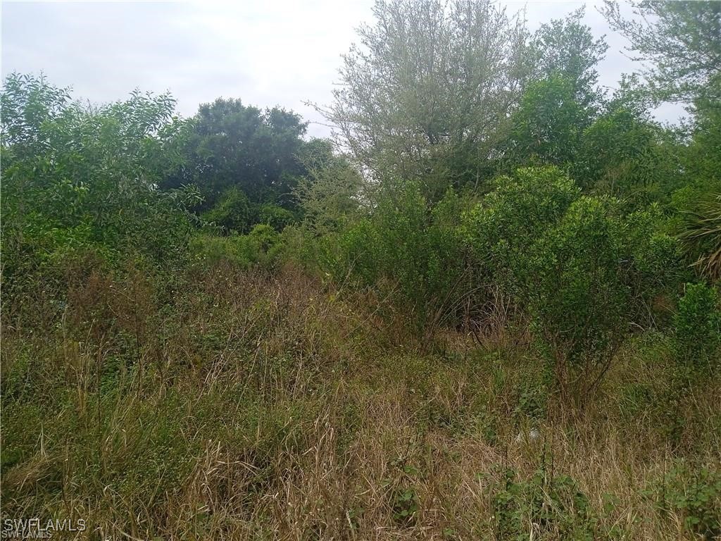 3512 26th Street SW Lehigh Acres FL 33976 225042795 image7