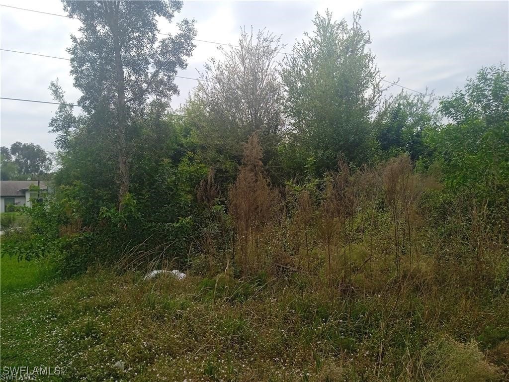 3512 26th Street SW Lehigh Acres FL 33976 225042795 image8