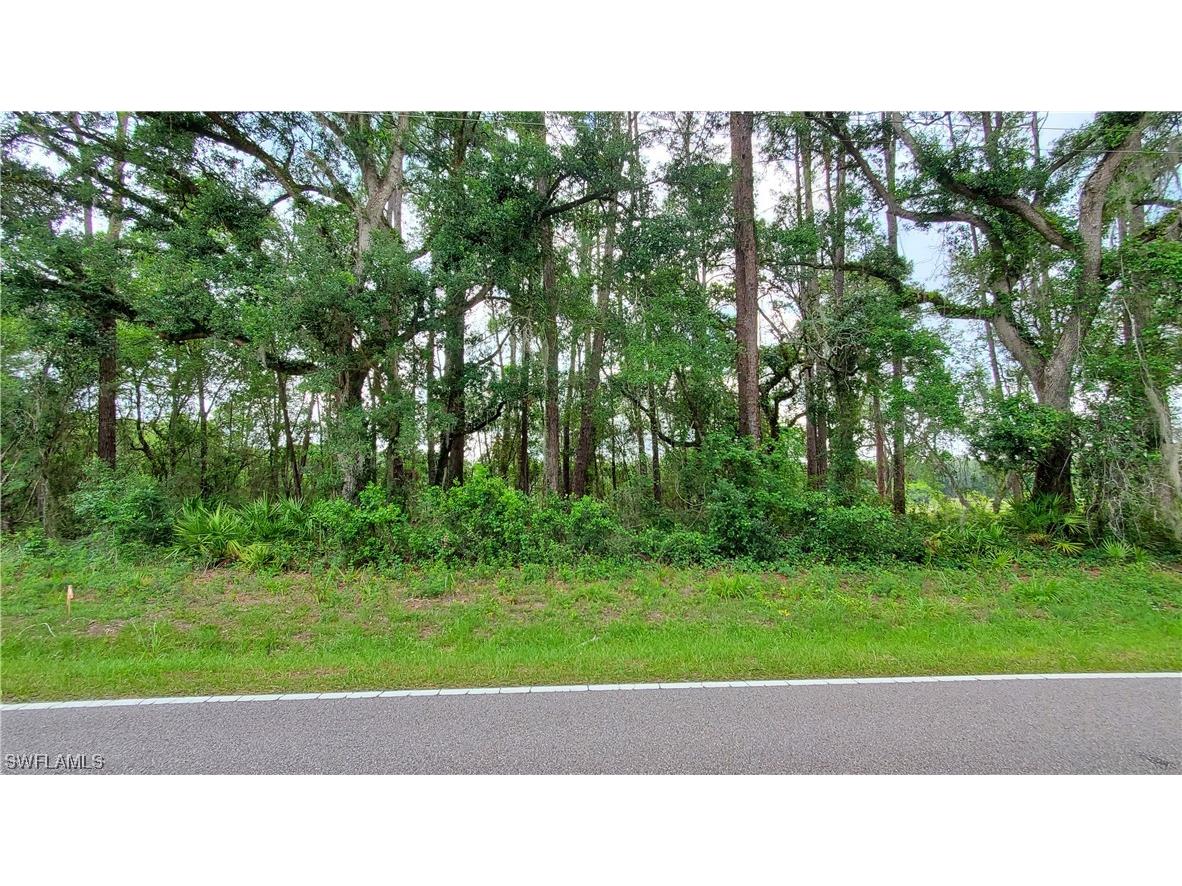 35121 Richardson Boulevard Webster FL 33597 223045311 image1