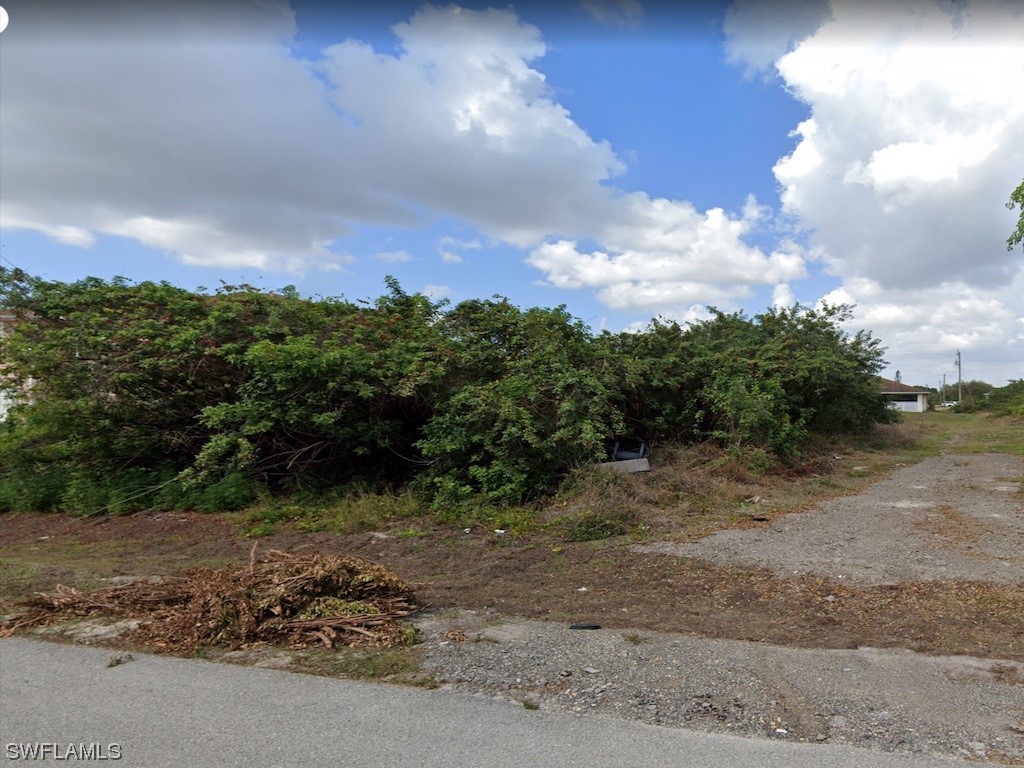 3514 2nd Street SW Lehigh Acres FL 33976 223075686 image1