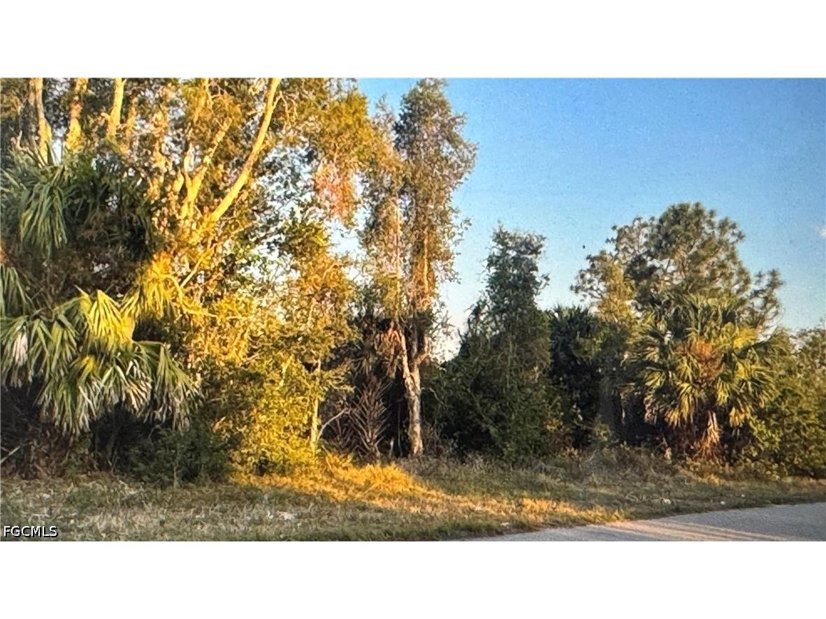 3515 27th Street SW Lehigh Acres FL 33976 2026018494 image2