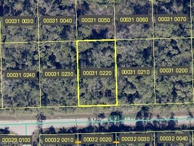 3516 49th Street W Lehigh Acres FL 33971 224002497 image1