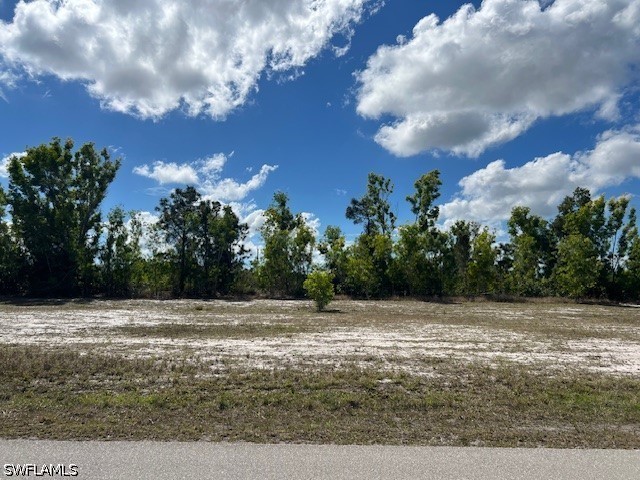 3518 NW 47th Street Cape Coral FL 33993 226019072 image1