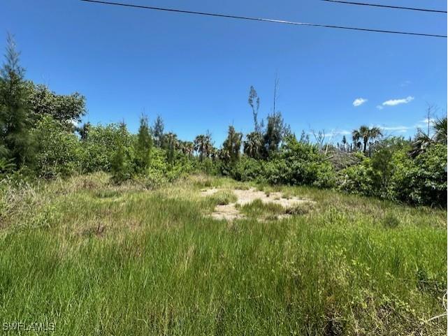 3518 Papaya Street Saint James City FL 33956 223075498 image1