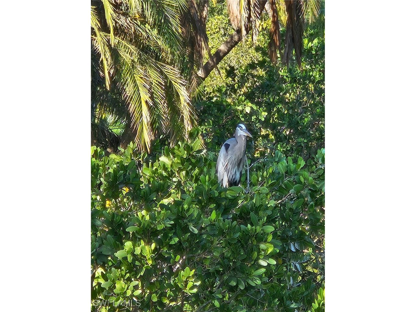 3525 16th Avenue SE Naples FL 34117 225067414 image11