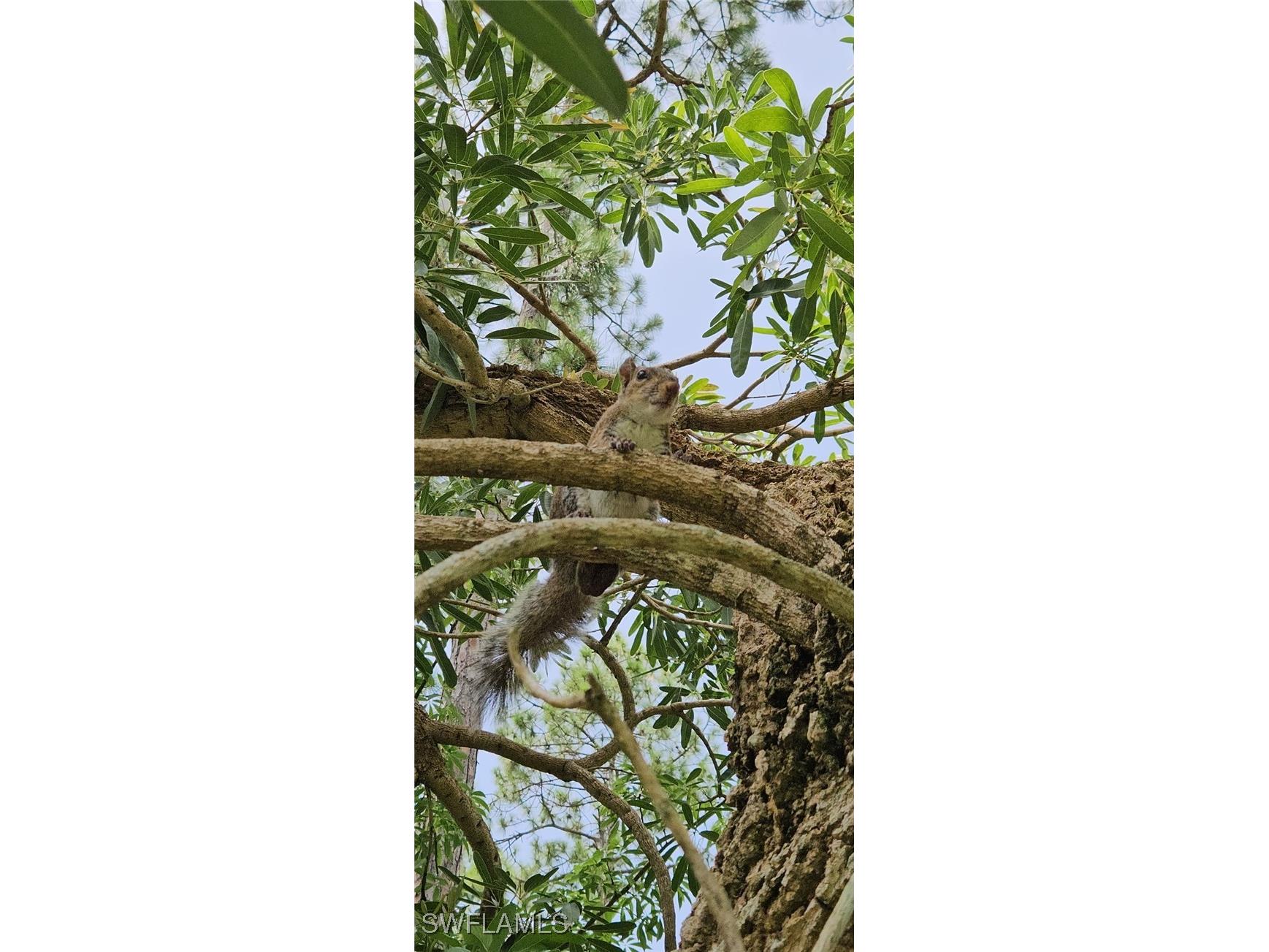 3525 16th Avenue SE Naples FL 34117 225067414 image14