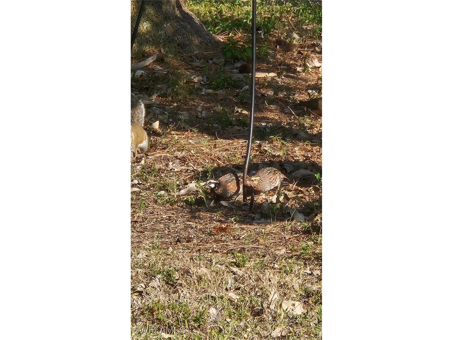 3525 16th Avenue SE Naples FL 34117 225067414 image25