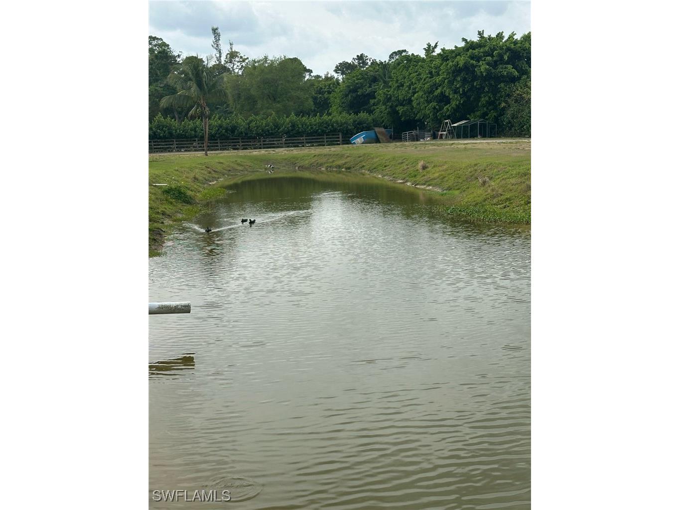 3525 D Road Loxahatchee FL 33470 225030083 image2