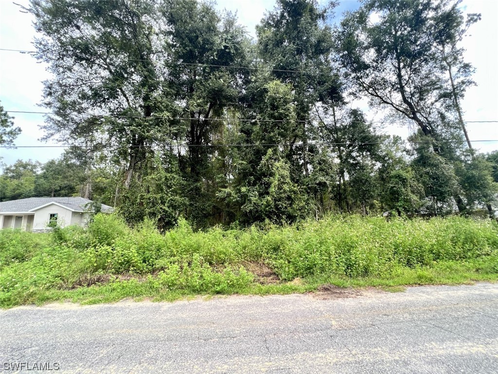 353 Eridani Court W Citrus Springs FL 34434 223078476 image1