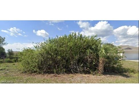 353 Pomona Street Lehigh Acres FL 33974 224017771 image1