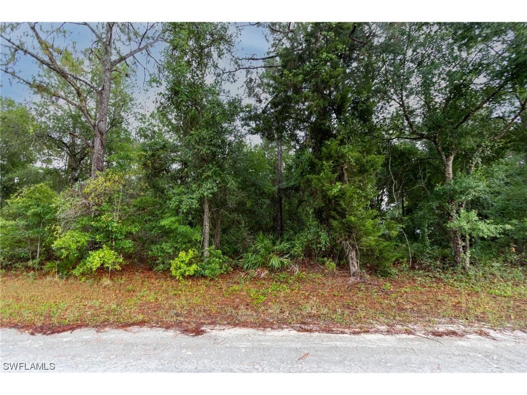 35318 Goolsby Street Webster FL 33597 223041885 image1