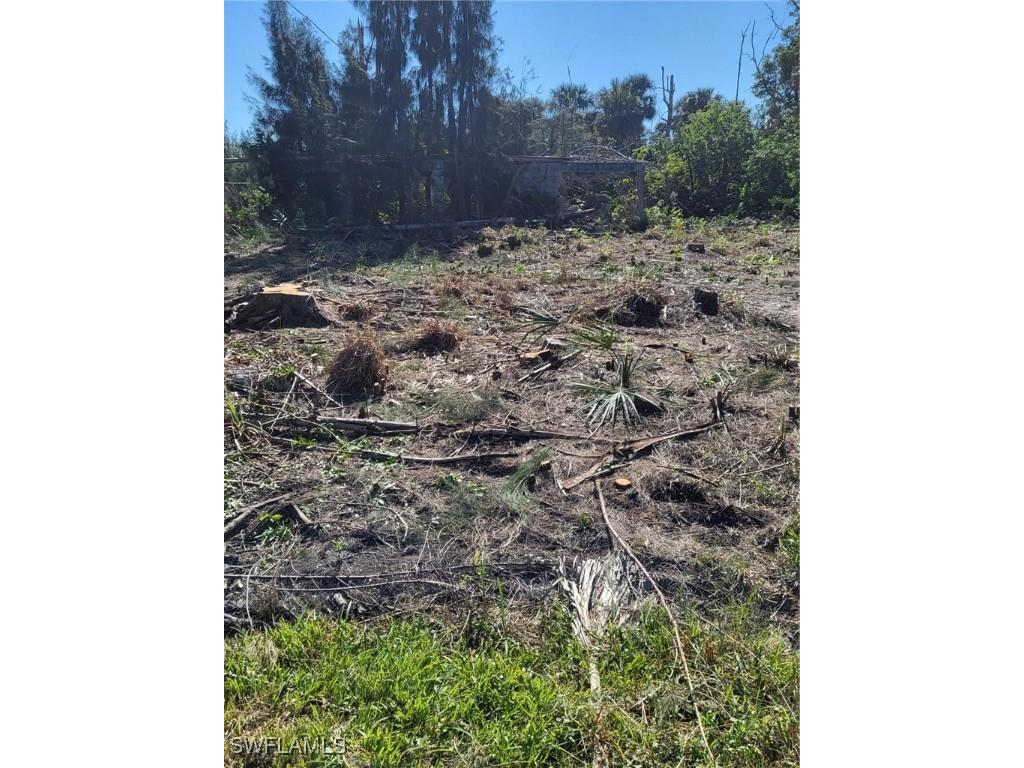 3535 Papaya Street Saint James City FL 33956 224075382 image2