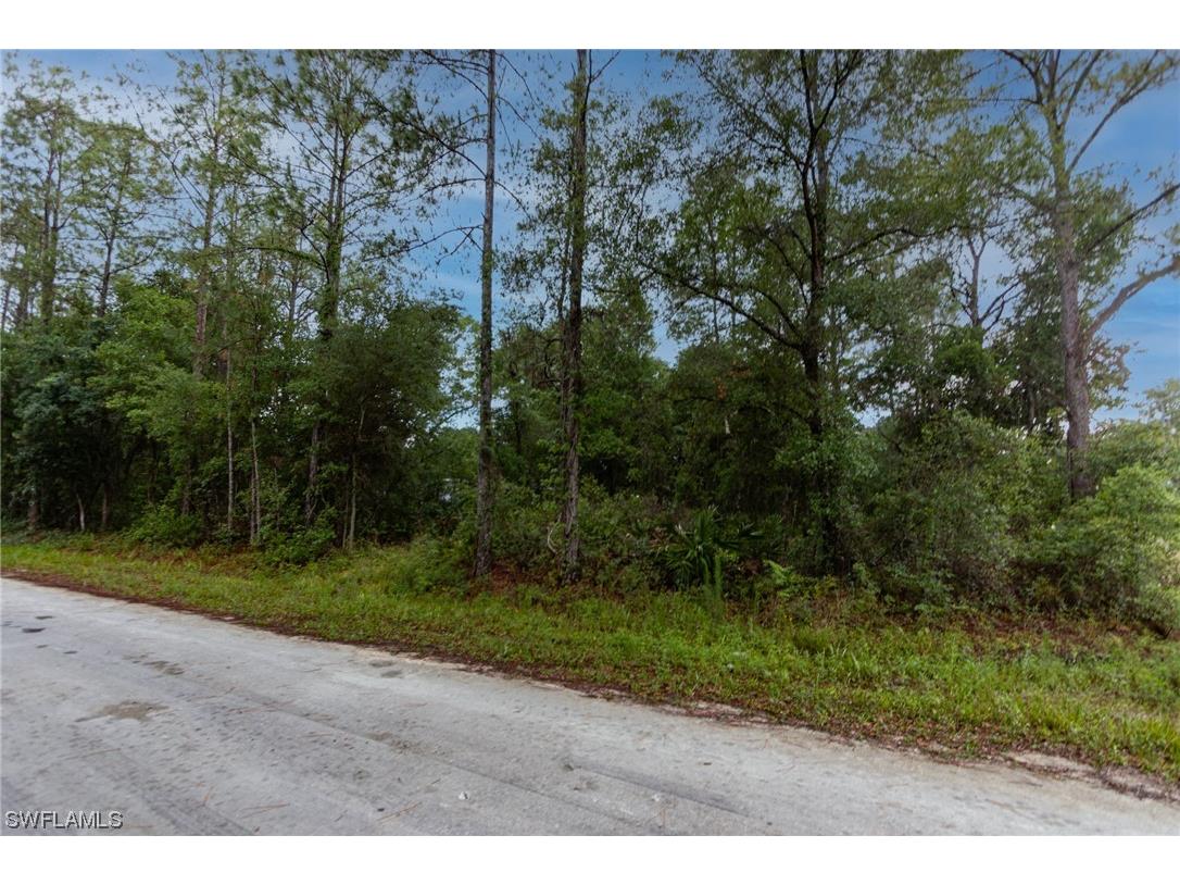 35360 Goethals Street Webster FL 33597 223041881 image1
