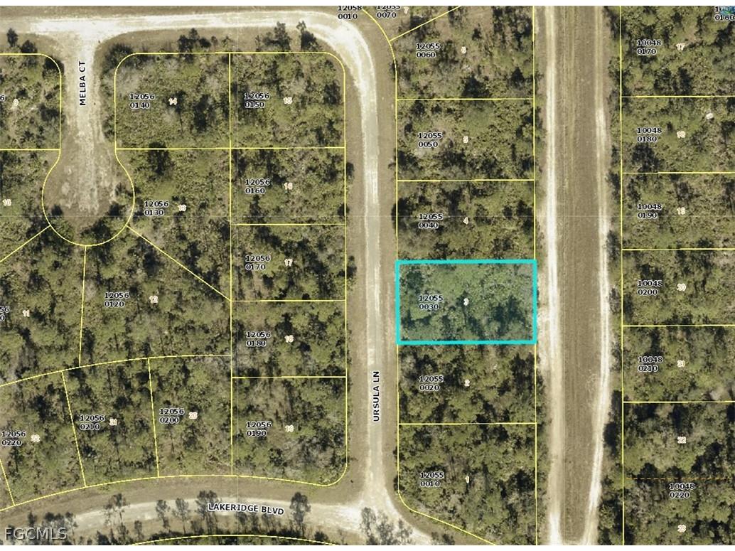 354 Ursula Lane Lehigh Acres FL 33972 2026003654 image1