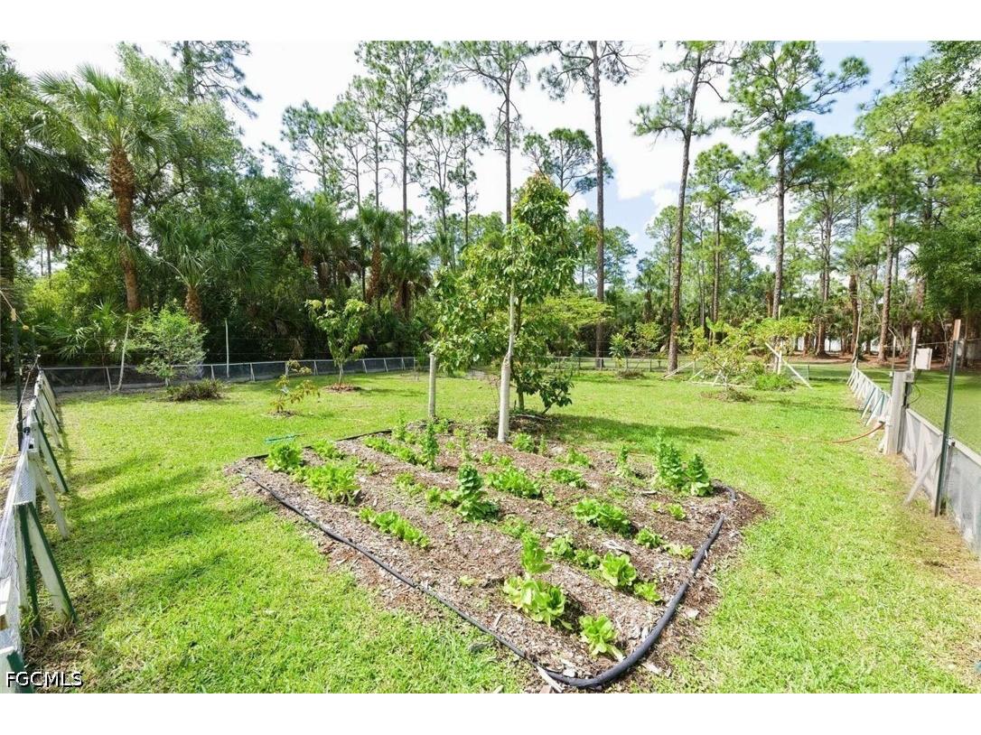 355 14th Avenue NE Naples FL 34120 2026015953 image38