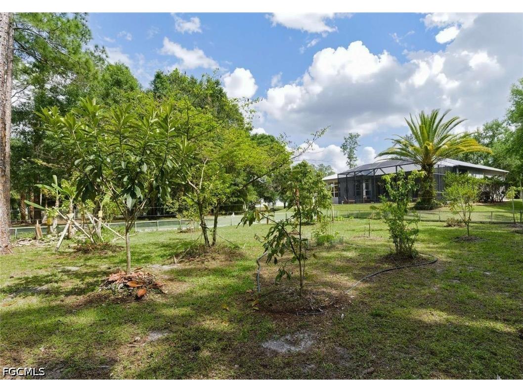 355 14th Avenue NE Naples FL 34120 2026015953 image41