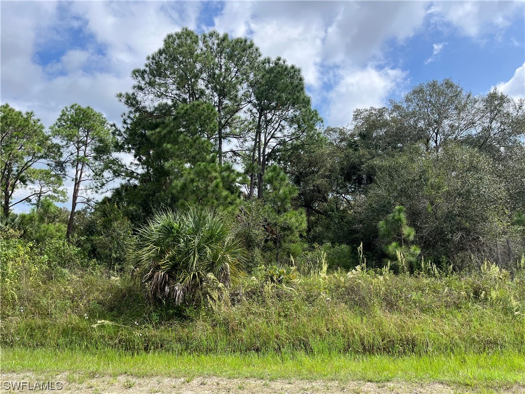 355 S Datil Street Clewiston FL 33440 223075722 image1