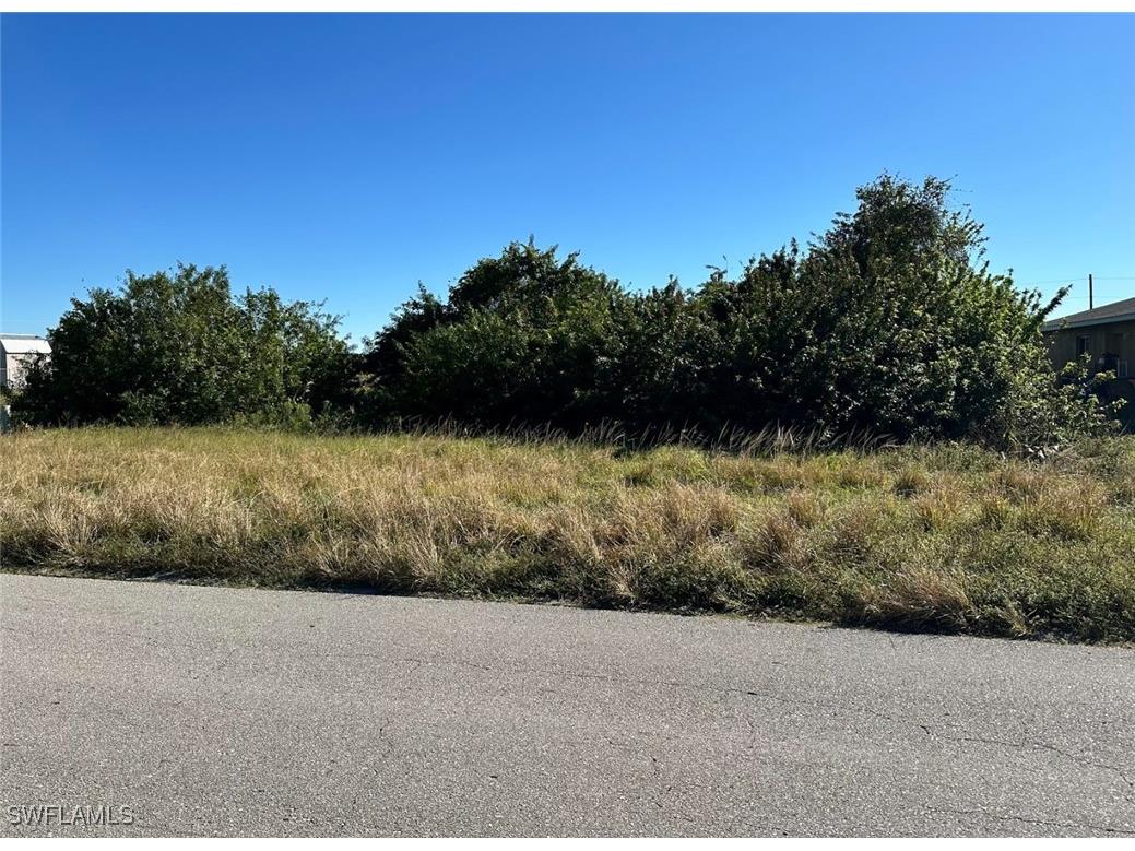 356/358 Grant Boulevard Lehigh Acres FL 33974 225066602 image1