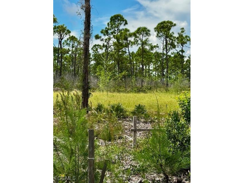 3561 Pink Ibis Drive Saint James City FL 33956 2025010854 image5